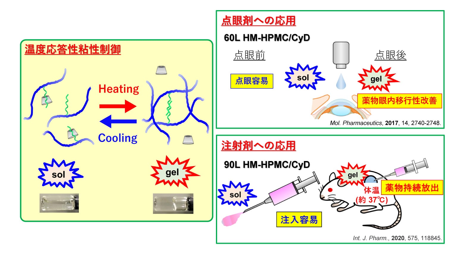 機能性薬物担体としての刺激応答性ヒドロゲルの開発