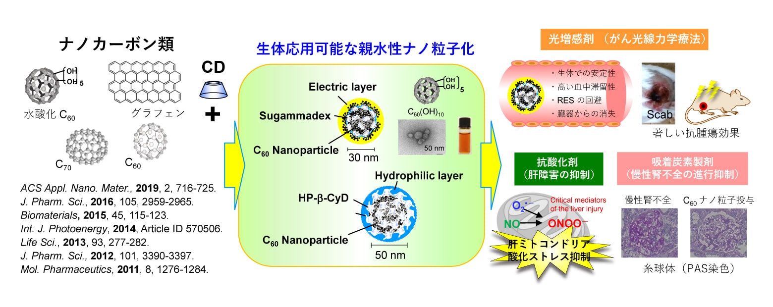 ナノカーボン類の医薬分野への有効利用